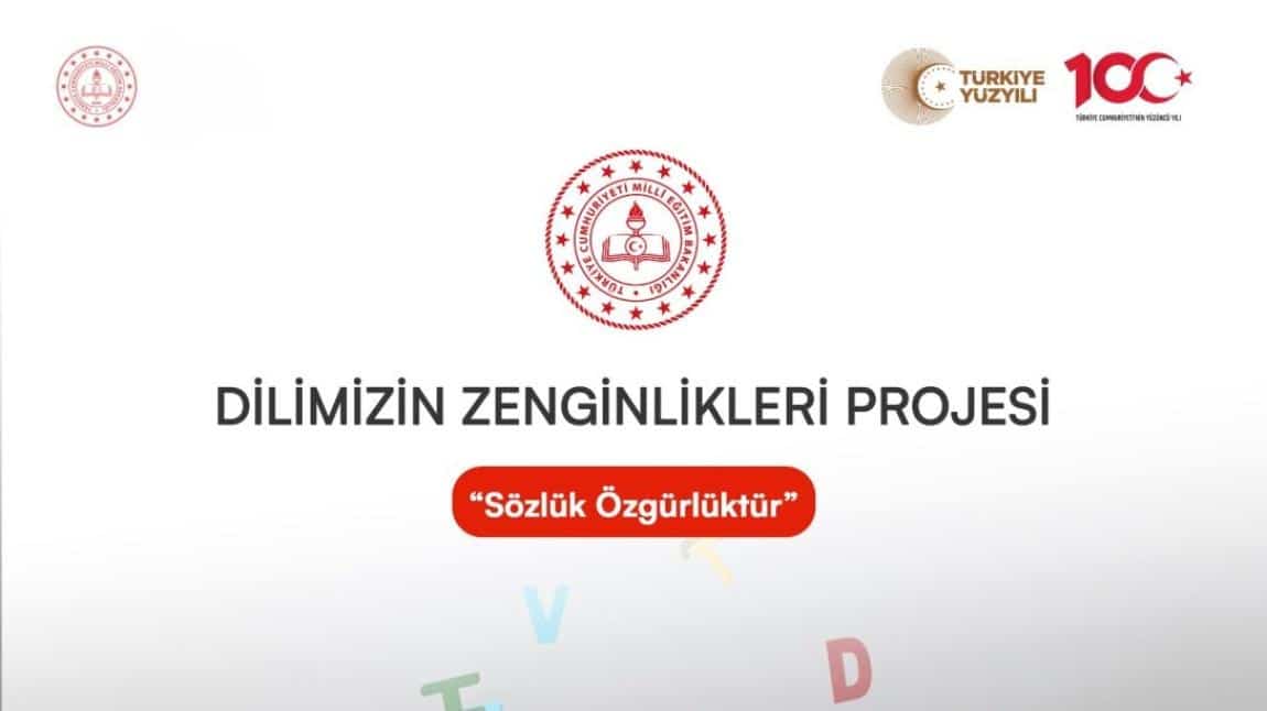 Dilimizin Zenginlikleri Projesi: Pano Çalışmalarımız